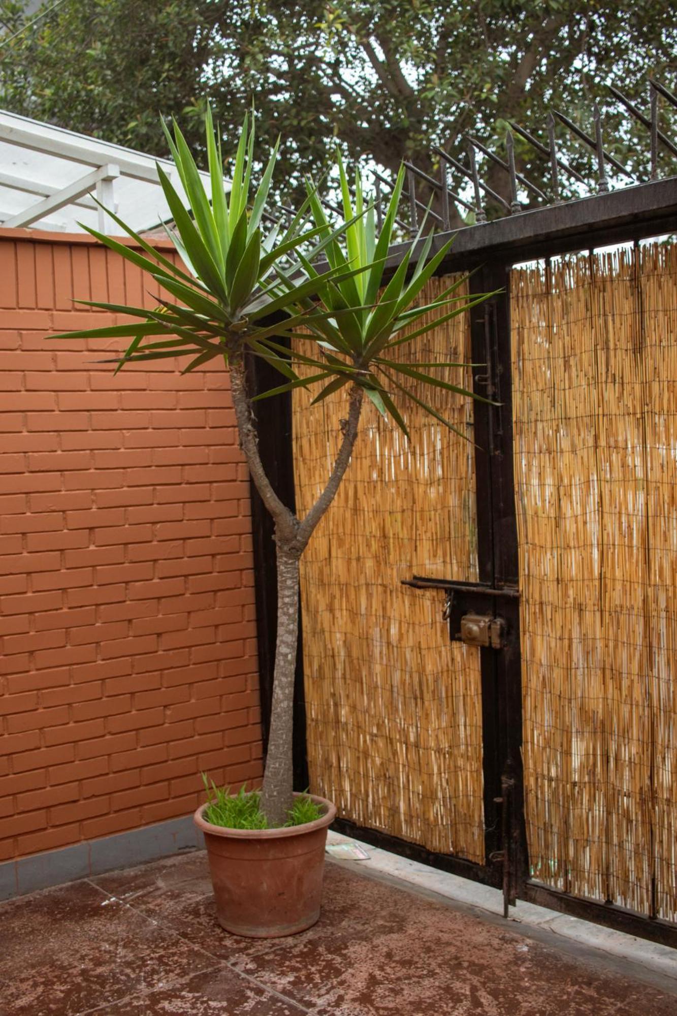 Temazcal Hostel Distretto di Distretto di Lima Esterno foto
