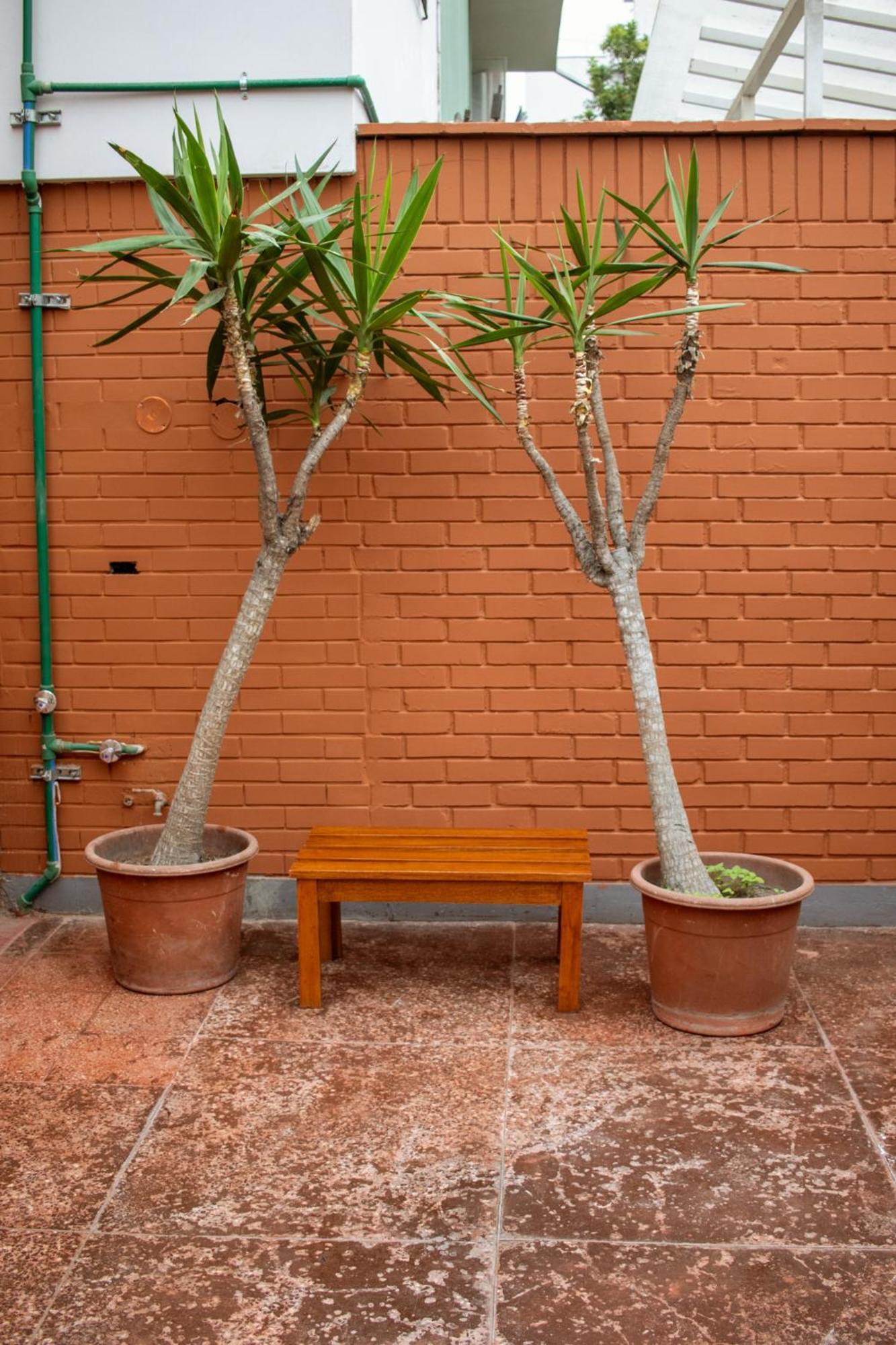 Temazcal Hostel Distretto di Distretto di Lima Esterno foto