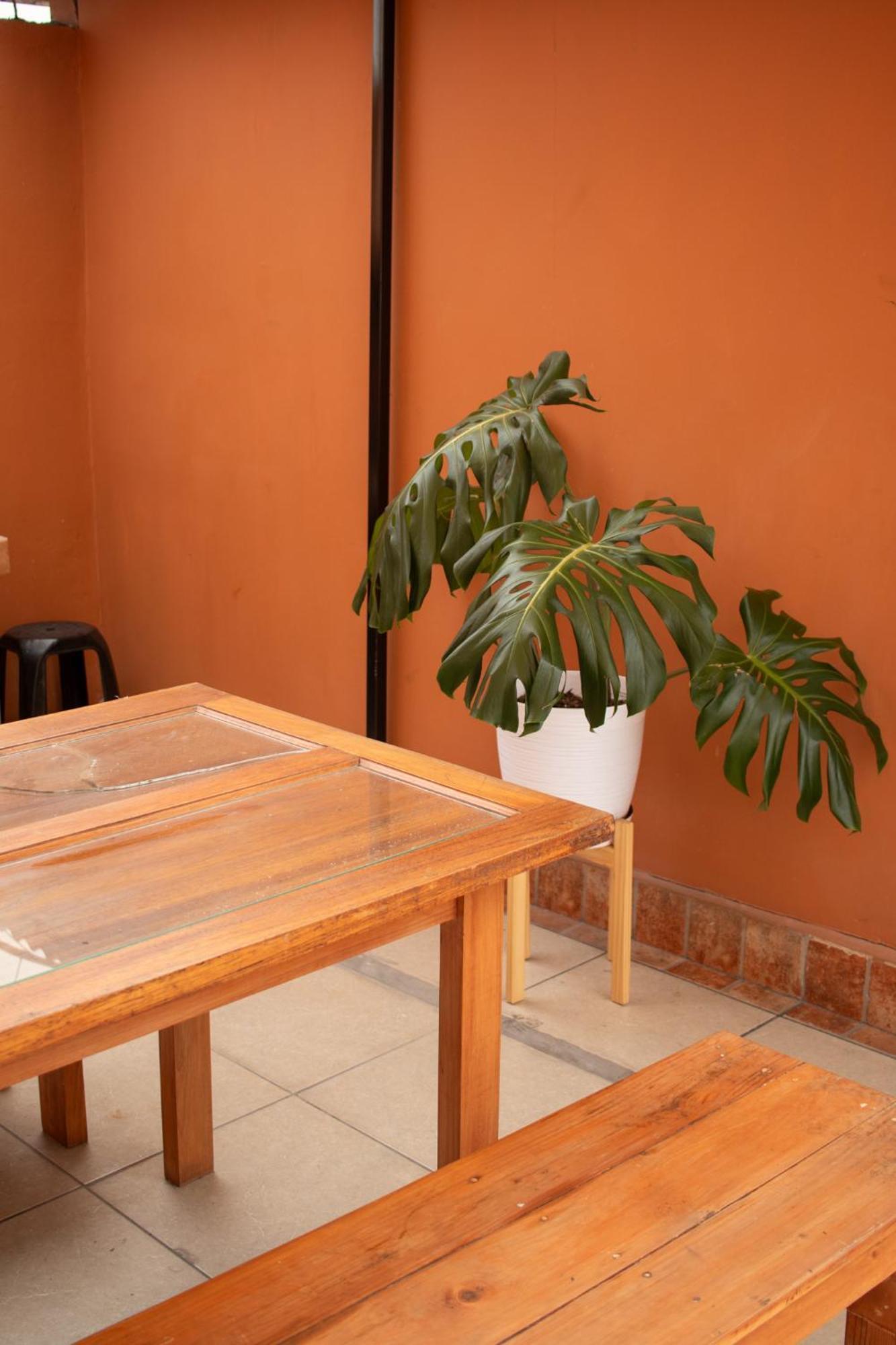 Temazcal Hostel Distretto di Distretto di Lima Esterno foto